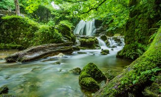 Elemente Feng-Shui in amenajarile interioare