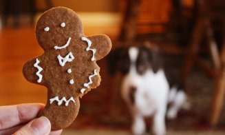 Decembrie, luna de turtă dulce