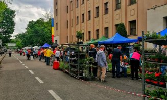 Hortus FlowShow
