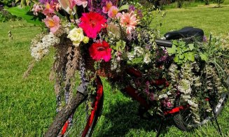 Hortus FlowShow