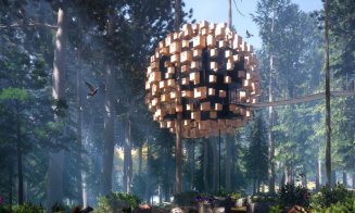 TreeHotel, un complex hotelier unic